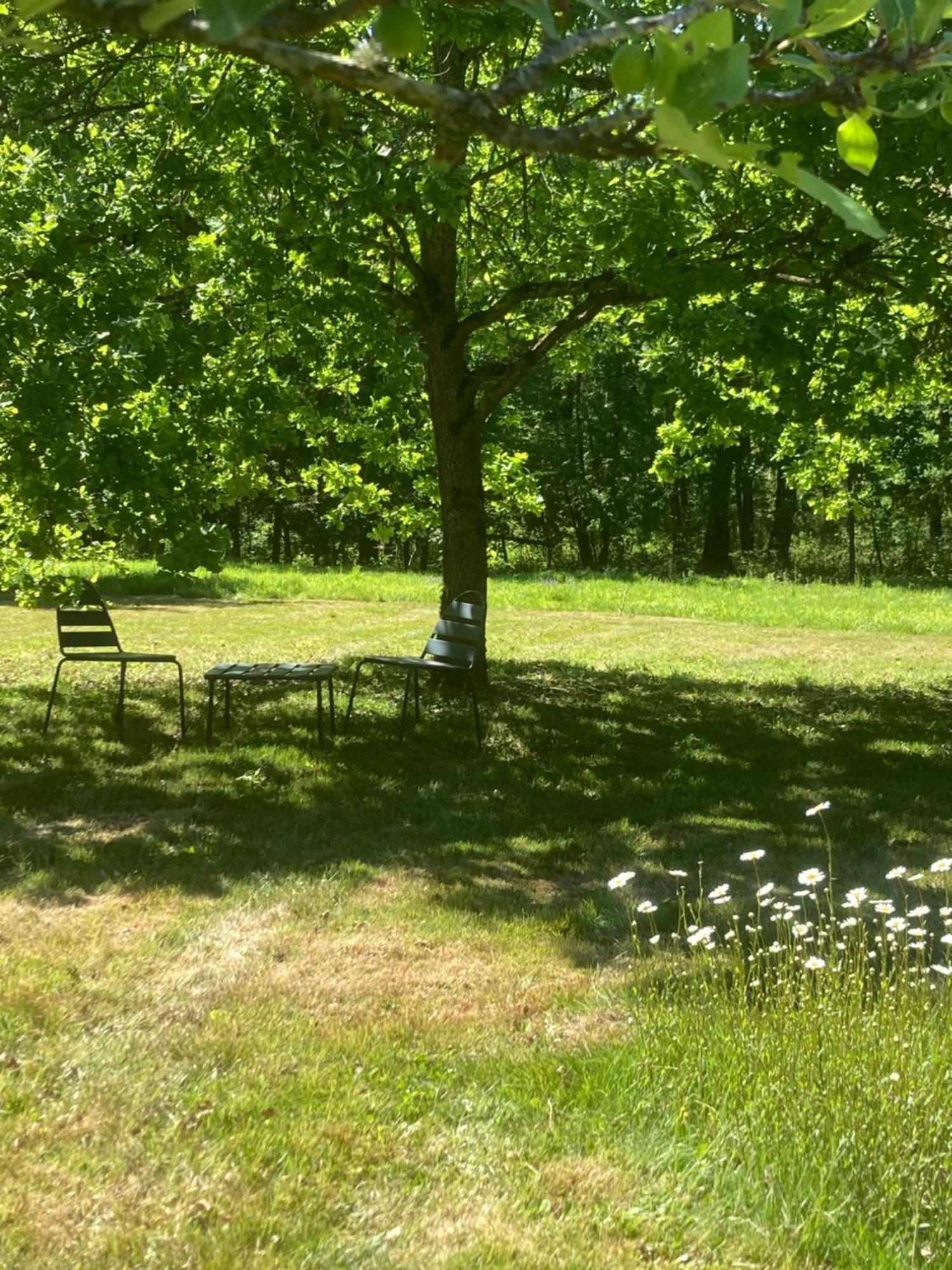 Les Bois De Ravel Chambres D'Hotes Luaran gambar